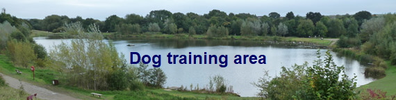 Dog training area