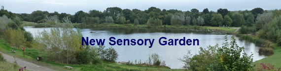 New Sensory Garden